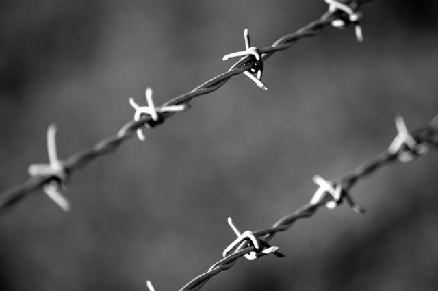 immigration-asylum-not-legally-aided